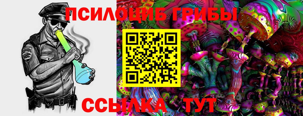 Галлюциногенные грибы ЛСД Ухта