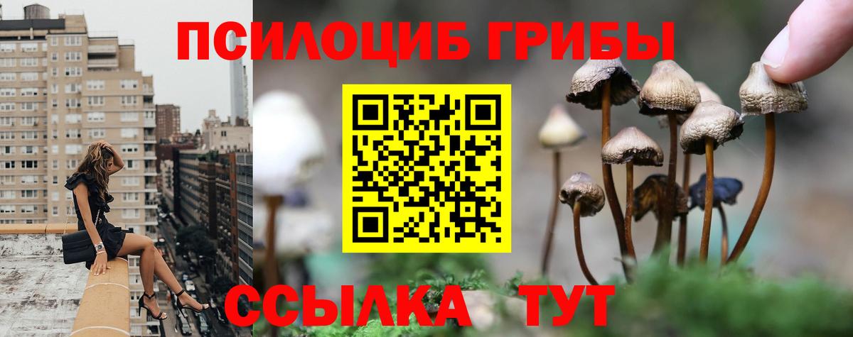 Псилоцибиновые грибы прущие грибы  Вход с VPN  Ухта 
